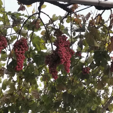 Pensión възрожденски комплекс чардакъ Sopot