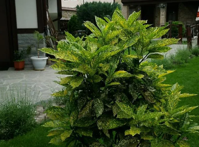 възрожденски комплекс чардакъ Sopot