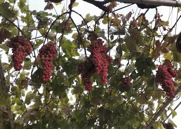 Affittacamere възрожденски комплекс чардакъ Sopot